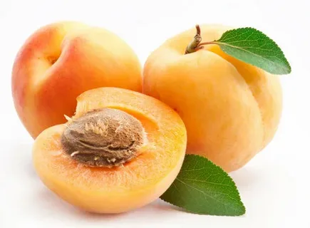 قیمت خرید کنسانتره زرد آلو + فروش ویژه